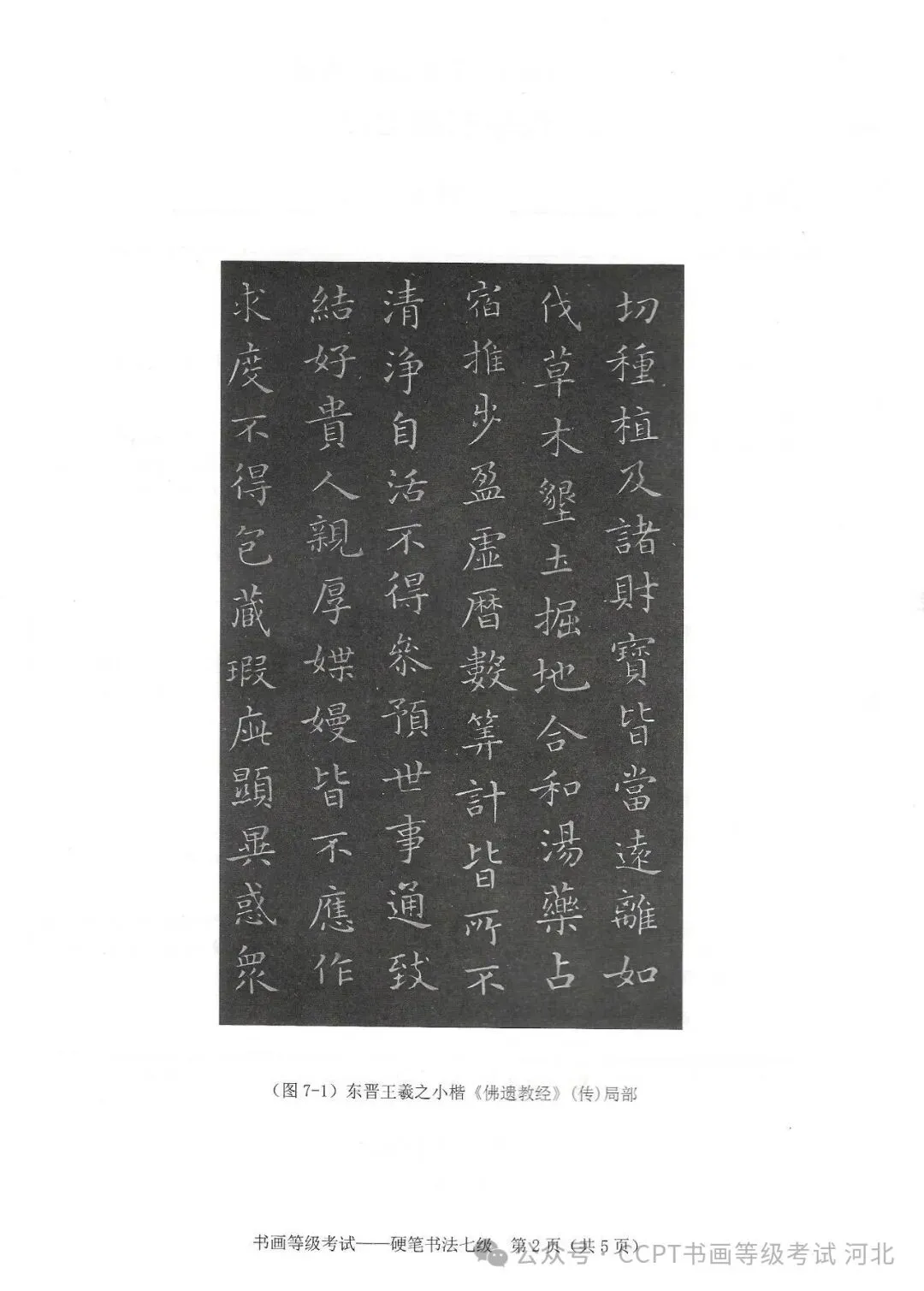 2025年11月份教育部书画等级考试真题--硬笔书法科目 第16张