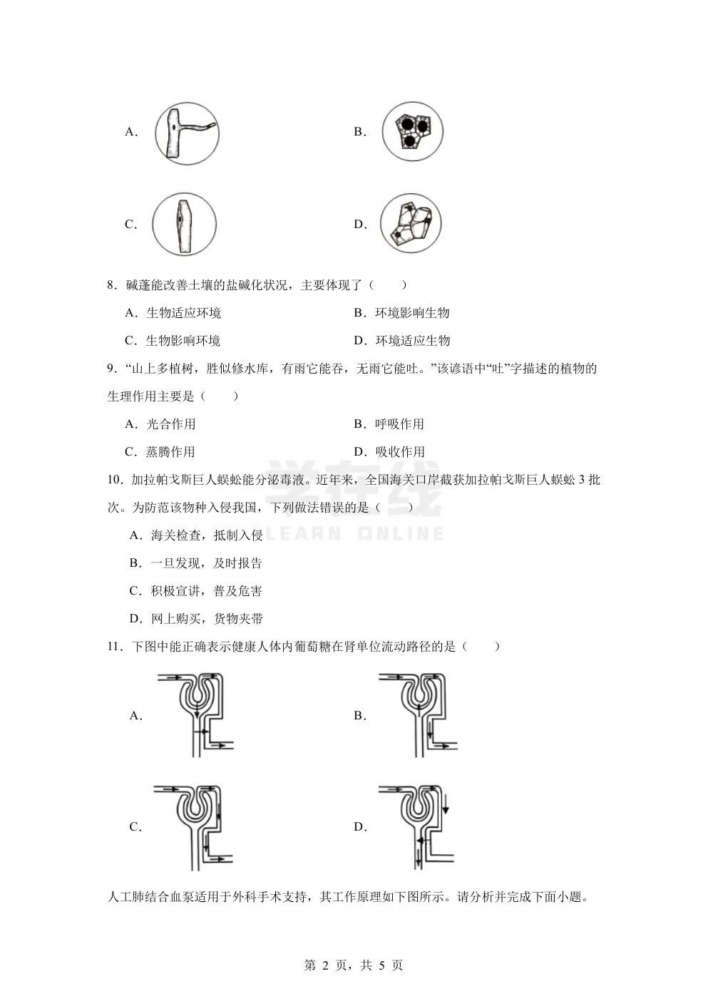 【中考真题卷】2025年江苏省盐城市中考生物真题卷(原卷版+解析版+Word版下载) 第5张