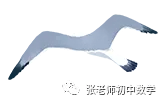 【最新】2026.3历下区一模数学试卷及答案解析 第1张