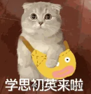 【中考扫盲帖】高中类别大全 + 报考限制全梳理 第9张 【中考扫盲帖】高中类别大全 + 报考限制全梳理 第9张