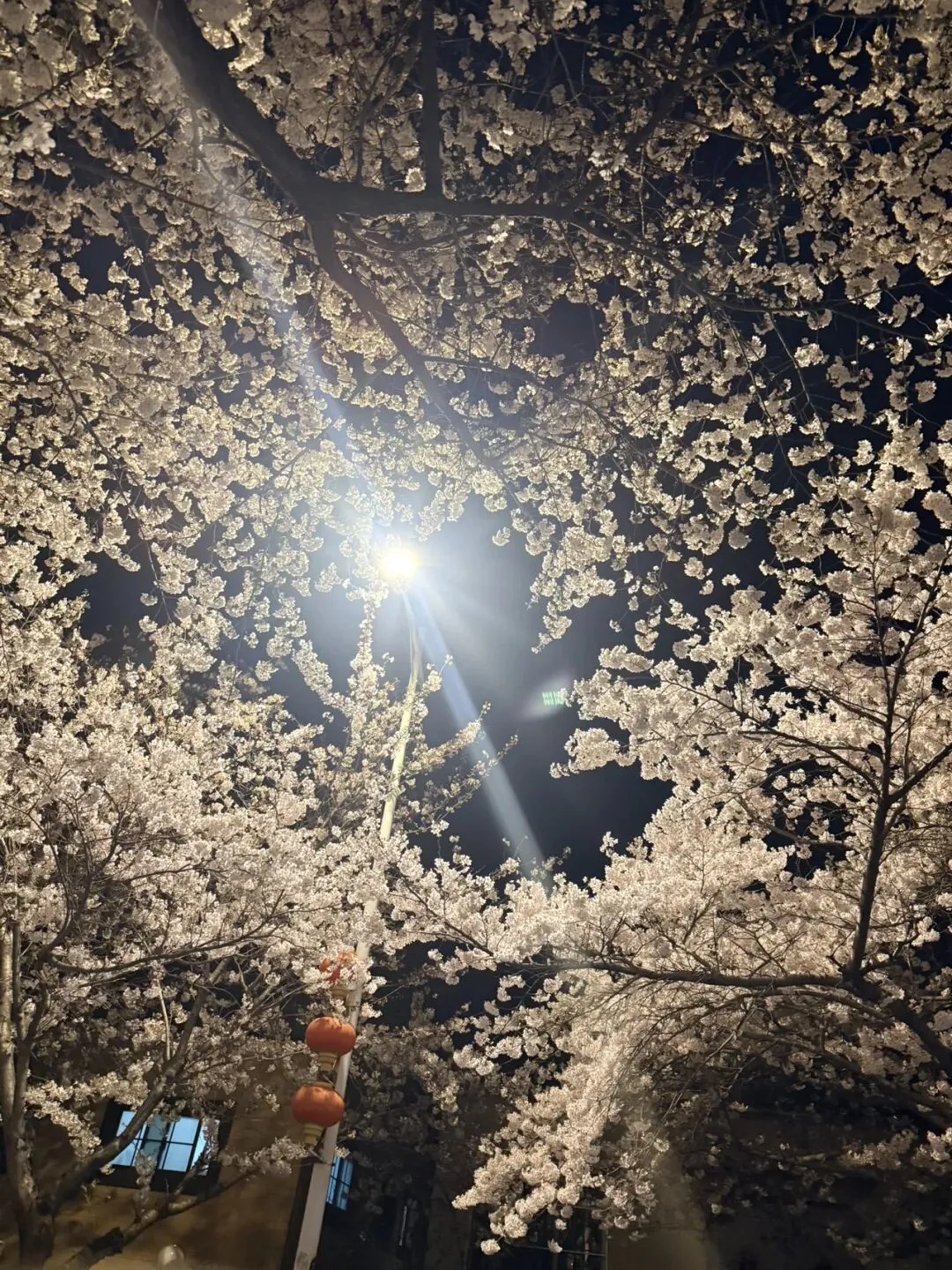 初中生如何有效使用中考真题? 第1张