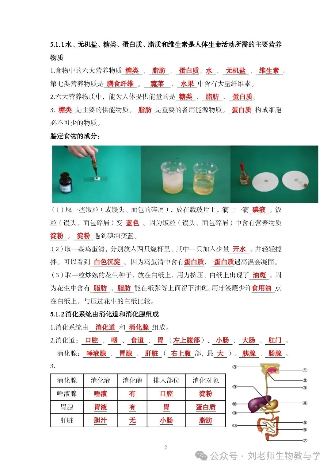 最新初中生物中考知识清单7个主题 答案划线版+挖空版 共20个word文档 主题五 人体生理与健康(1)消化系统 第3张 最新初中生物中考知识清单7个主题 答案划线版+挖空版 共20个word文档 主题五 人体生理与健康(1)消化系统 第3张