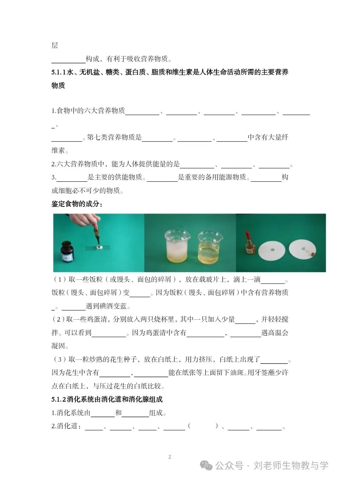 最新初中生物中考知识清单7个主题 答案划线版+挖空版 共20个word文档 主题五 人体生理与健康(1)消化系统 第8张 最新初中生物中考知识清单7个主题 答案划线版+挖空版 共20个word文档 主题五 人体生理与健康(1)消化系统 第8张