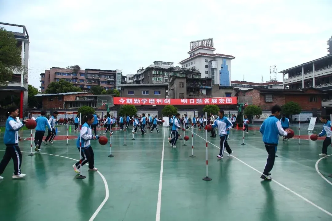 聚焦中考改革,优化教学策略 第8张