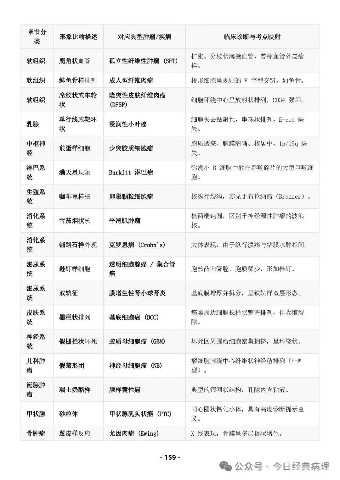 【预售】病理中级重点知识和模拟试卷 第20张