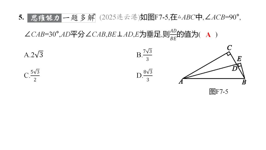 2026中考思想方法专题(七)角平分线训练 第11张