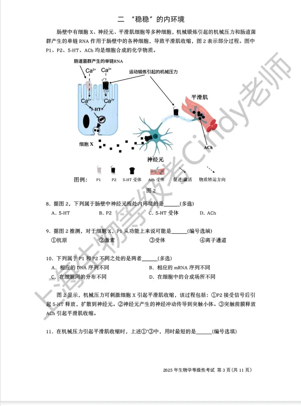 2025年上海市高中生物等级考真题及答案-第3张图片-四季读书网