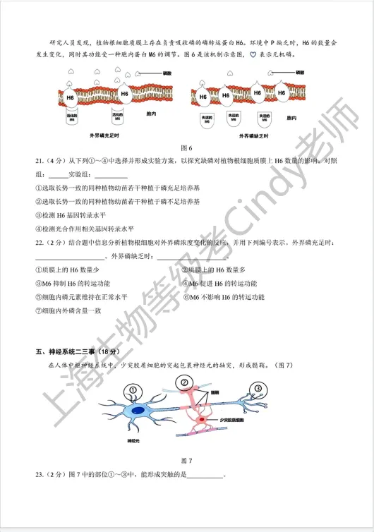2023年上海市高中生物等级考真题-第5张图片-四季读书网