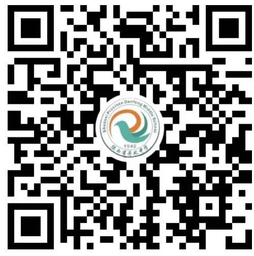 丹凤中学2026届高三年级市模拟考试表彰奖励大会圆满举行 第29张