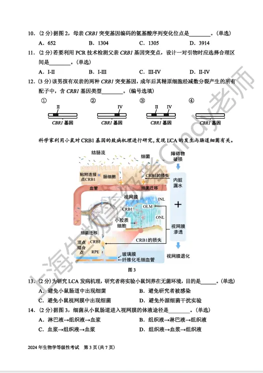 2024年上海市高中生物等级考真题及答案-第3张图片-四季读书网