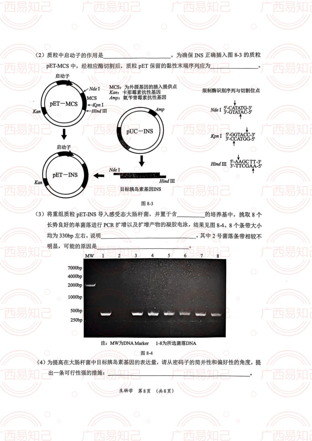 柳州三模全科试卷及答案出炉,看看孩子考得怎么样? 第12张