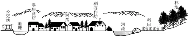 植被专题2025年高考真题 第4张 植被专题2025年高考真题 第4张
