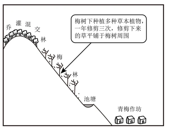 植被专题2025年高考真题 第7张 植被专题2025年高考真题 第7张