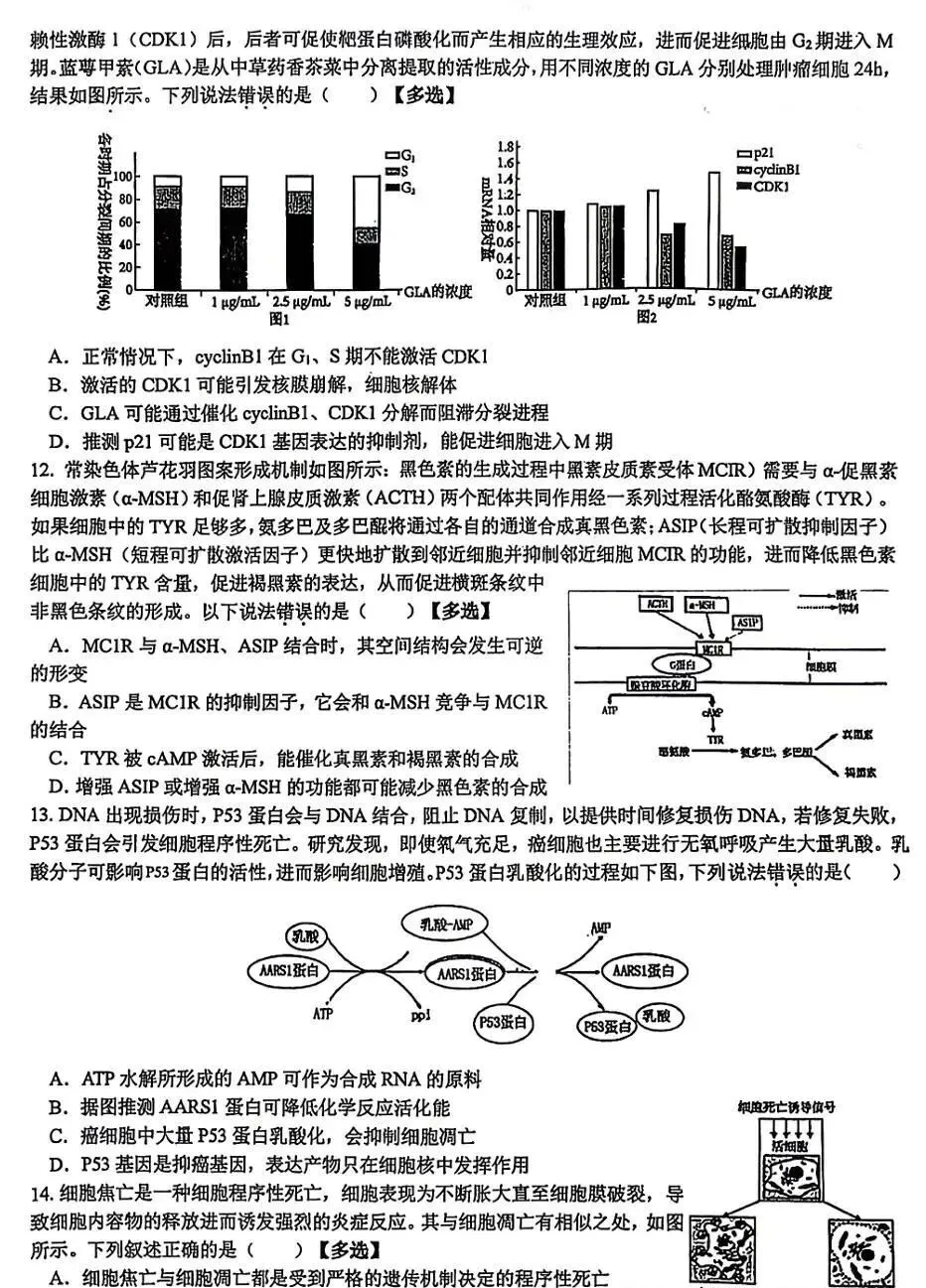 2026年全国生物学联赛初赛真题答案发布(七省赛区) 第26张 2026年全国生物学联赛初赛真题答案发布(七省赛区) 第26张