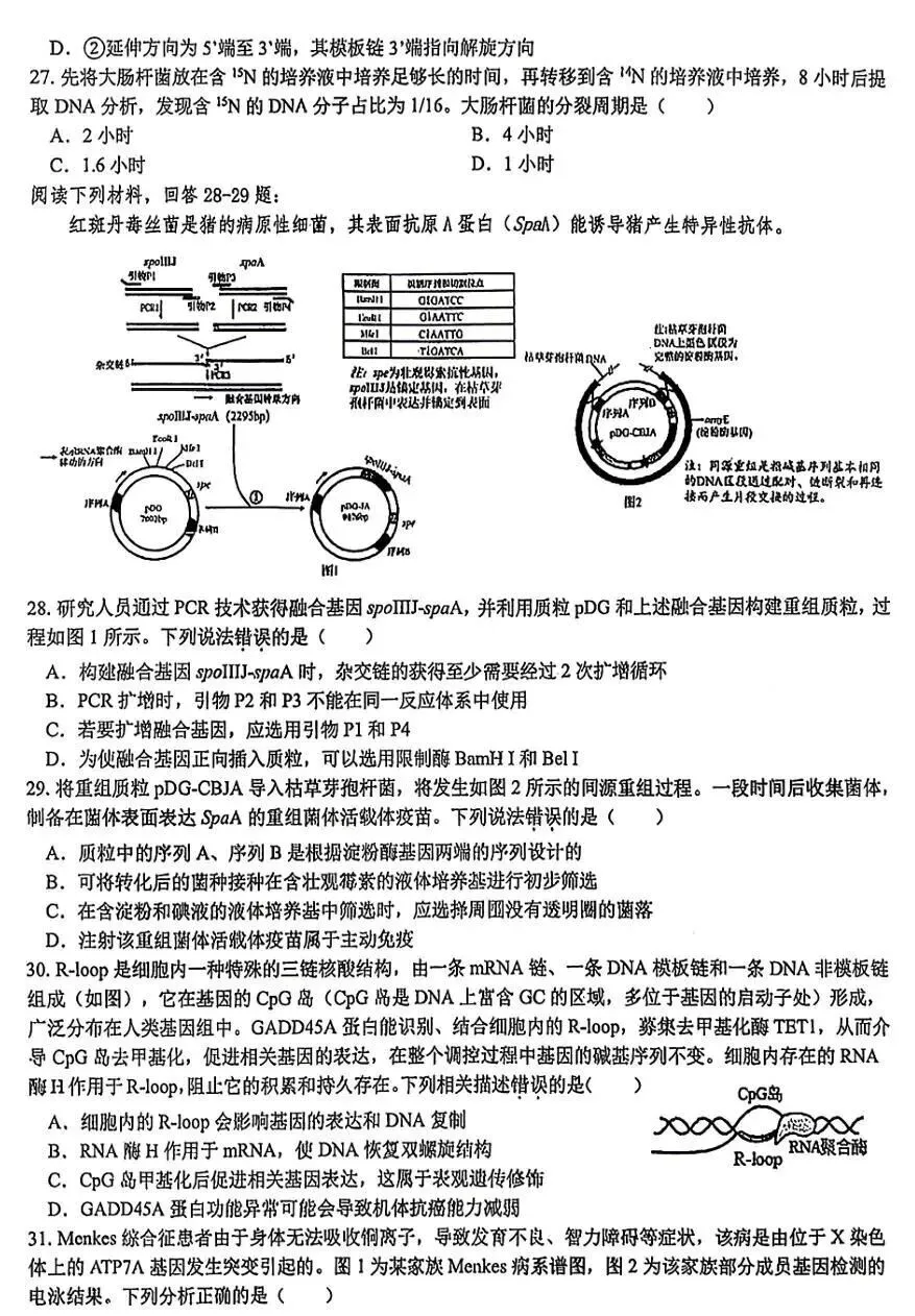 2026年全国生物学联赛初赛真题答案发布(七省赛区) 第29张 2026年全国生物学联赛初赛真题答案发布(七省赛区) 第29张
