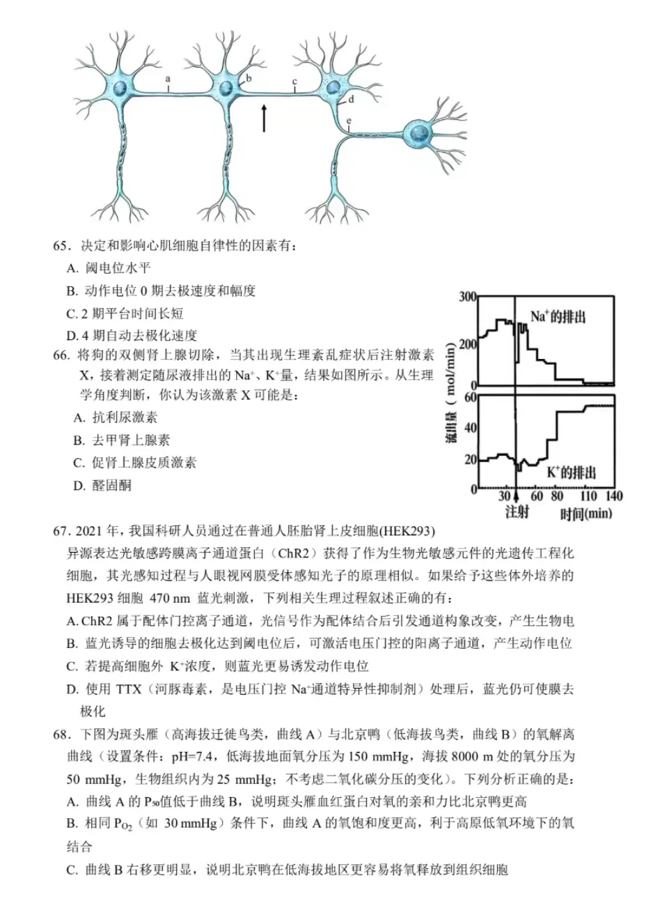 2026年全国生物学联赛初赛真题答案发布(七省赛区) 第44张 2026年全国生物学联赛初赛真题答案发布(七省赛区) 第44张