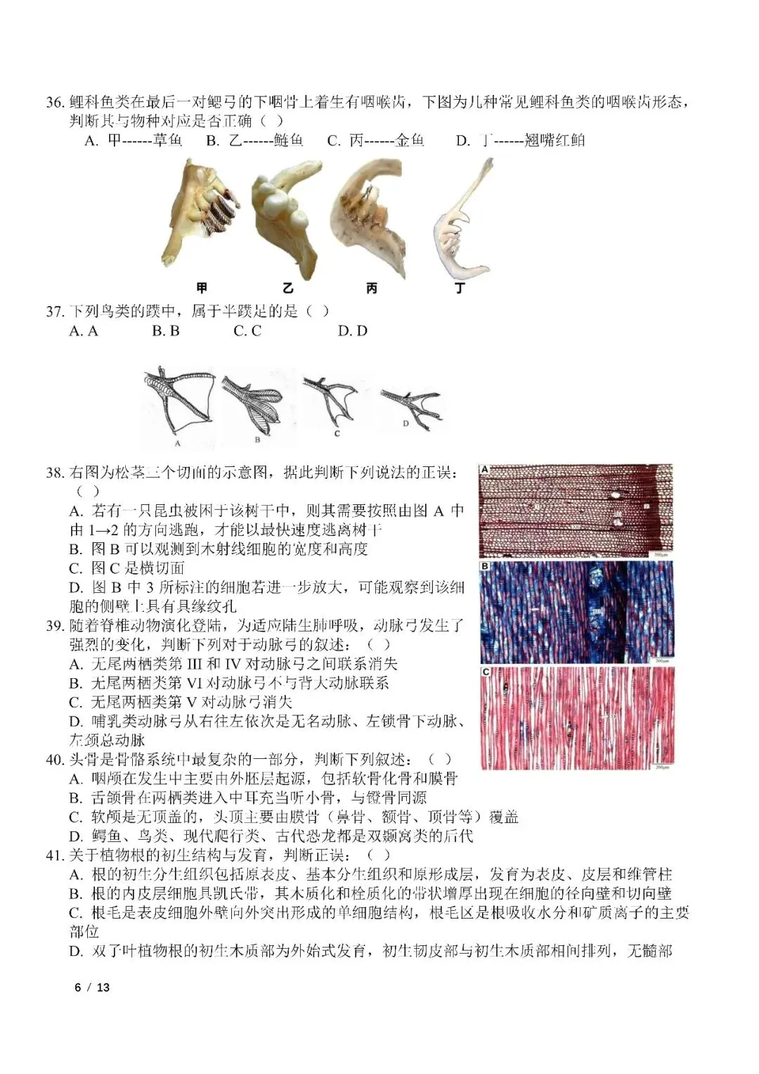 2026年全国生物学联赛初赛真题答案发布(七省赛区) 第54张 2026年全国生物学联赛初赛真题答案发布(七省赛区) 第54张