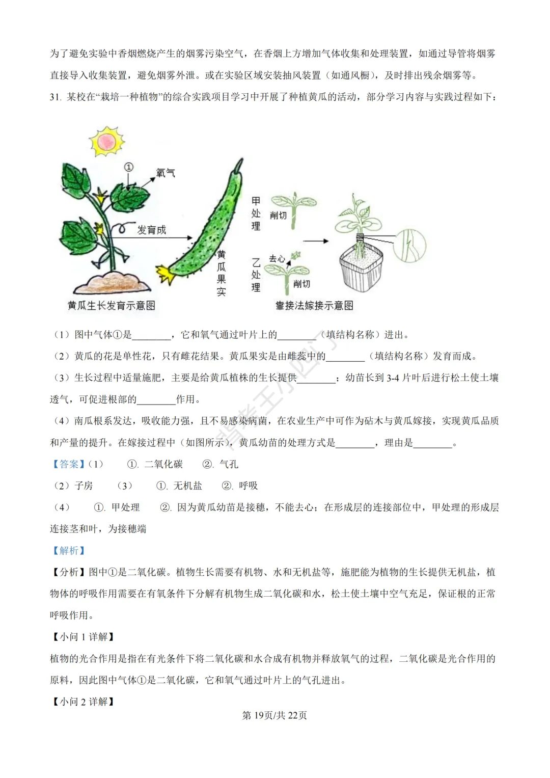 湖南省长沙市2025年中考小四门真题及答案解析(生物/地理/历史/道法)-第27张图片-四季读书网 湖南省长沙市2025年中考小四门真题及答案解析(生物/地理/历史/道法)-第27张图片-四季读书网