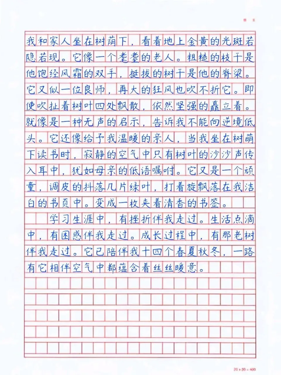 中考作文押题!5篇高分范文直接抄-第10张图片-四季读书网