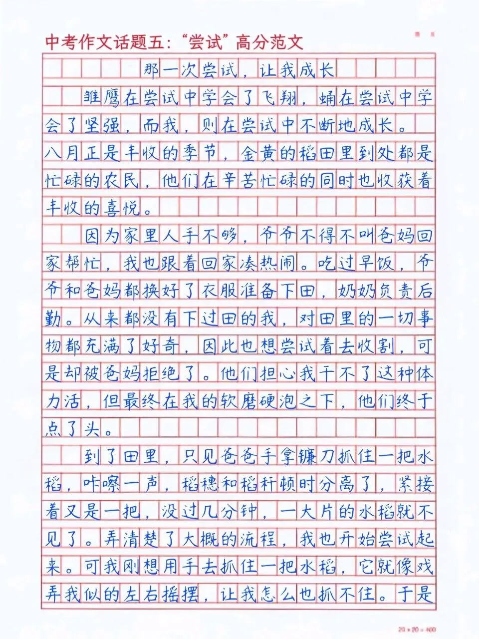 中考作文押题!5篇高分范文直接抄-第11张图片-四季读书网