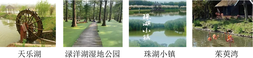 中考复习——句子修改的作用 专题练习-第2张图片-四季读书网
