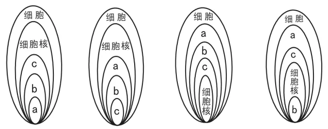 2020年广州中考生物真题(含答案)-第17张图片-四季读书网 2020年广州中考生物真题(含答案)-第17张图片-四季读书网