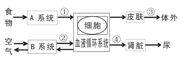 2020年广州中考生物真题(含答案)-第25张图片-四季读书网 2020年广州中考生物真题(含答案)-第25张图片-四季读书网