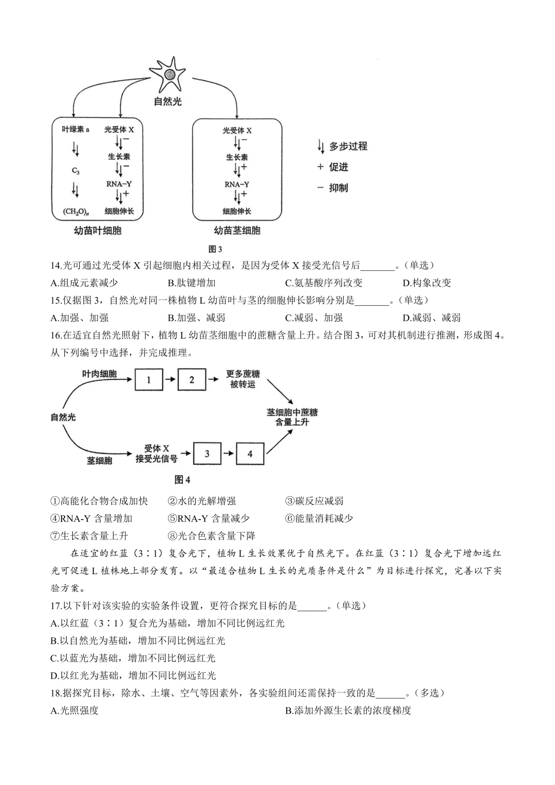 2025年上海等级考生物试卷分享-第4张图片-四季读书网