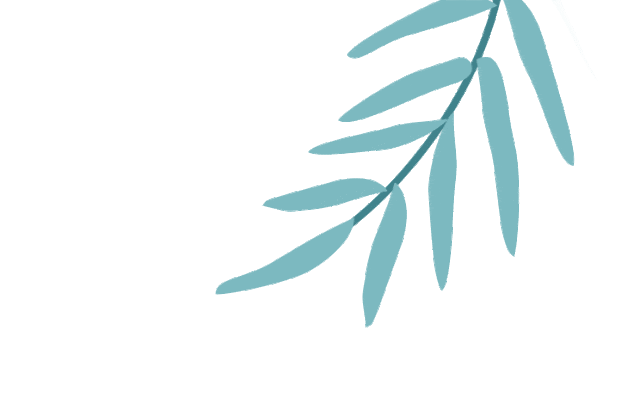 【上海七下全科期中试卷】普陀区2024-2025学年七下数学期中卷 第16张