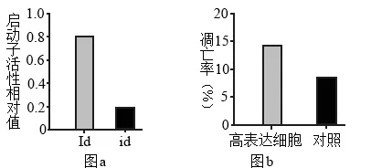 2026届广东省东莞市高三一模拟考试生物学试题(3月)(详解电子版) 第10张 2026届广东省东莞市高三一模拟考试生物学试题(3月)(详解电子版) 第10张