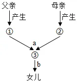 【中考生物】生物考前冲刺注意事项【附:石家庄市外国语教育集团2025-2026学年下学期八年级模拟生物试卷】 第8张 【中考生物】生物考前冲刺注意事项【附:石家庄市外国语教育集团2025-2026学年下学期八年级模拟生物试卷】 第8张