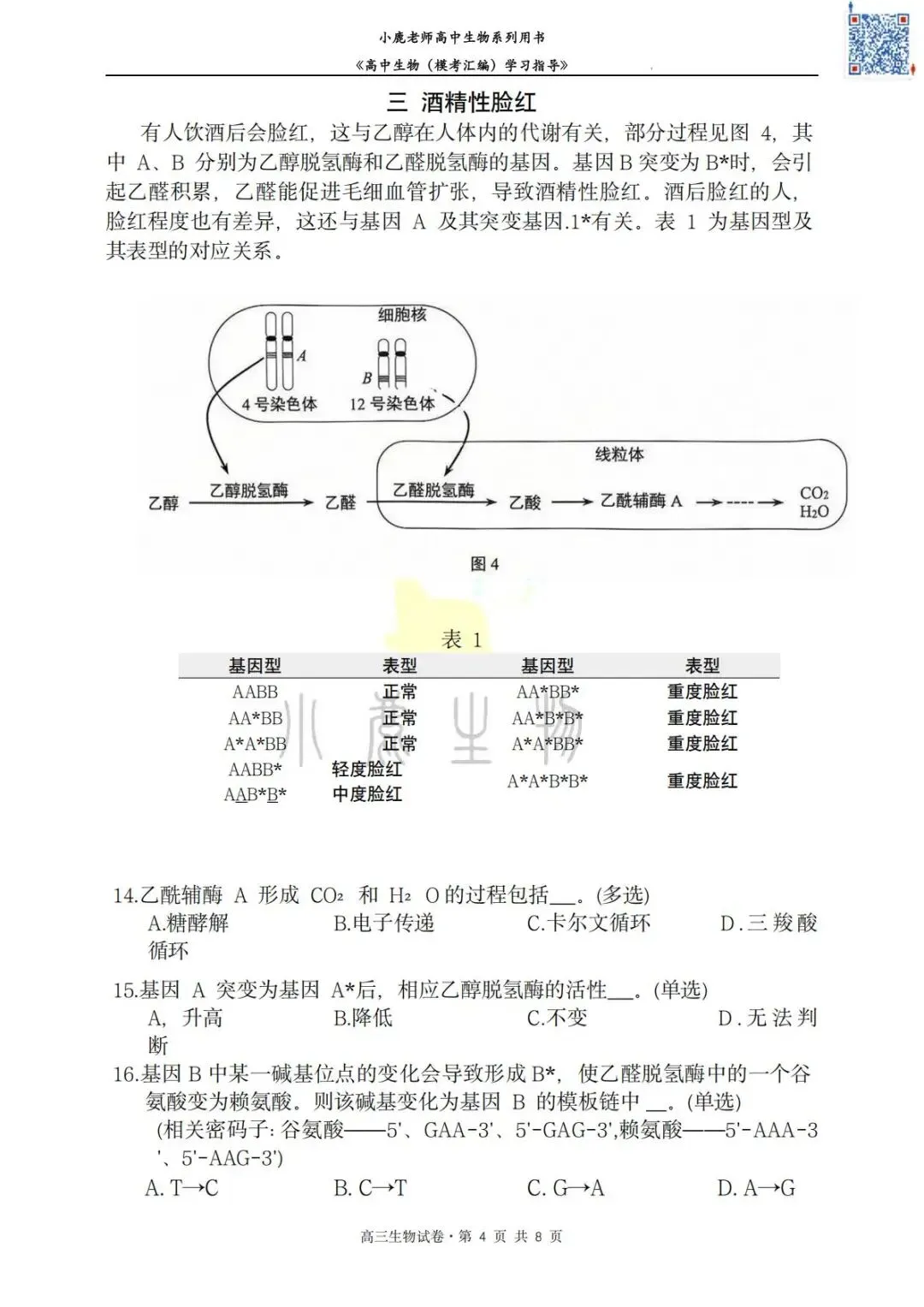 II小鹿生物II2026年静安区二模考试卷分享-第6张图片-四季读书网