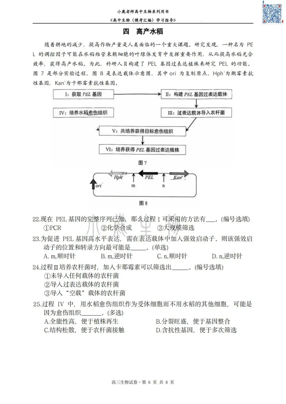 II小鹿生物II2026年静安区二模考试卷分享-第8张图片-四季读书网