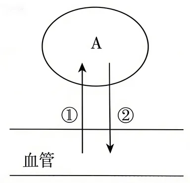 2026年最新教材八年级生物期中模拟卷(考试版),有完整电子版,可打印,建议家长收藏-第10张图片-四季读书网