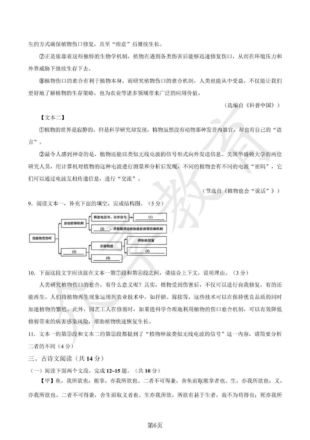 【一模真题】2026年郑州枫杨外国语学校中招一模试卷及答案(7科全)-第17张图片-四季读书网