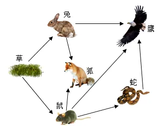 2026年初中生物中考八上你复习好了吗?给你送上一份精准复习资料. 第1张 2026年初中生物中考八上你复习好了吗?给你送上一份精准复习资料. 第1张