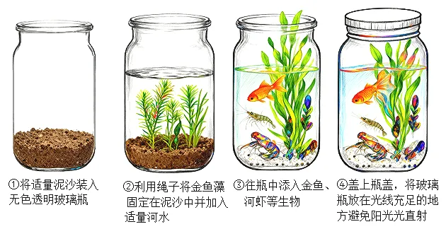 2026年初中生物中考八上你复习好了吗?给你送上一份精准复习资料. 第12张 2026年初中生物中考八上你复习好了吗?给你送上一份精准复习资料. 第12张