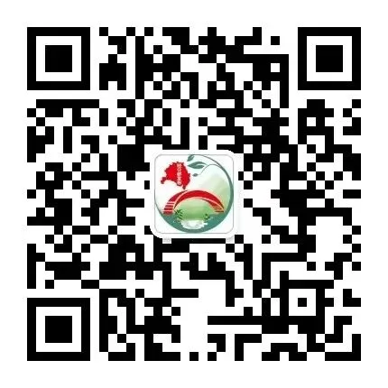 【政策暖心“桥”】中考加分政策宣传 | 经公桥镇中考加分开始啦! 第9张