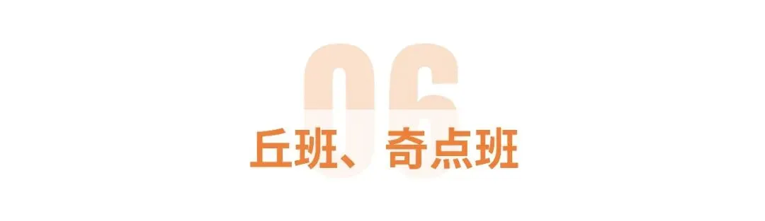 政策解读 | 青岛二中 2026 年中考政策概览(丘班、奇点班、自招班、统招班、国际班) 第12张
