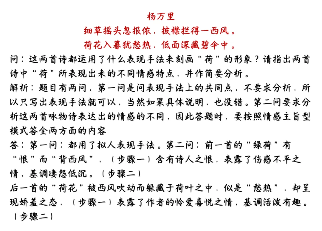 中考语文知识点归纳整理-第19张图片-四季读书网