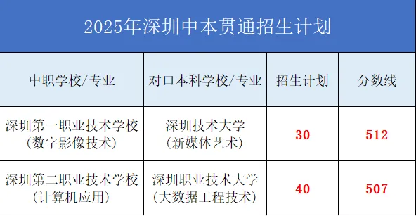 2026深圳中考择校必看:“五年一贯制”、“三二分段”与“中本贯通”的区别-第3张图片-四季读书网 2026深圳中考择校必看:“五年一贯制”、“三二分段”与“中本贯通”的区别-第3张图片-四季读书网