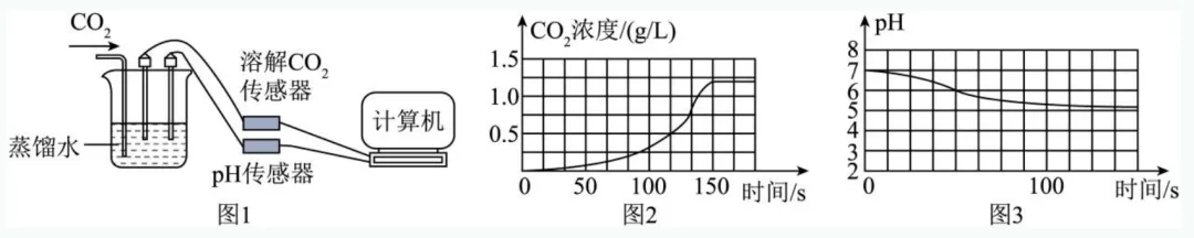 中考新题型练习22-第12张图片-四季读书网