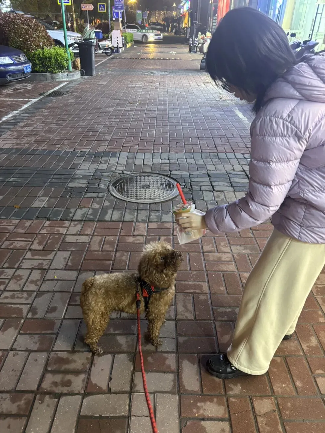 女儿中考倒计时76天—总算到真正的周五了-第4张图片-四季读书网