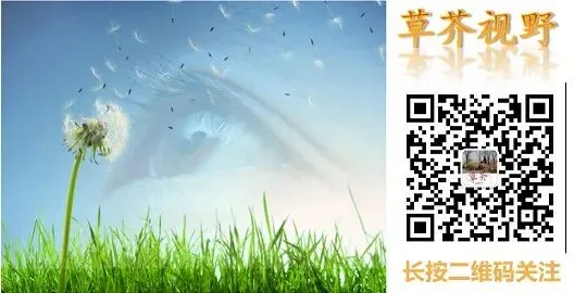 2026年中考押题作文-第1张图片-四季读书网