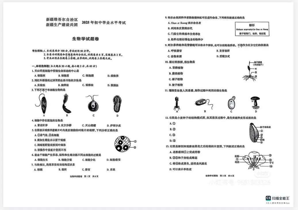 新疆省中考真题||2025年新疆省中考真题试卷及答案解析、PDF版免费分享 第11张 新疆省中考真题||2025年新疆省中考真题试卷及答案解析、PDF版免费分享 第11张