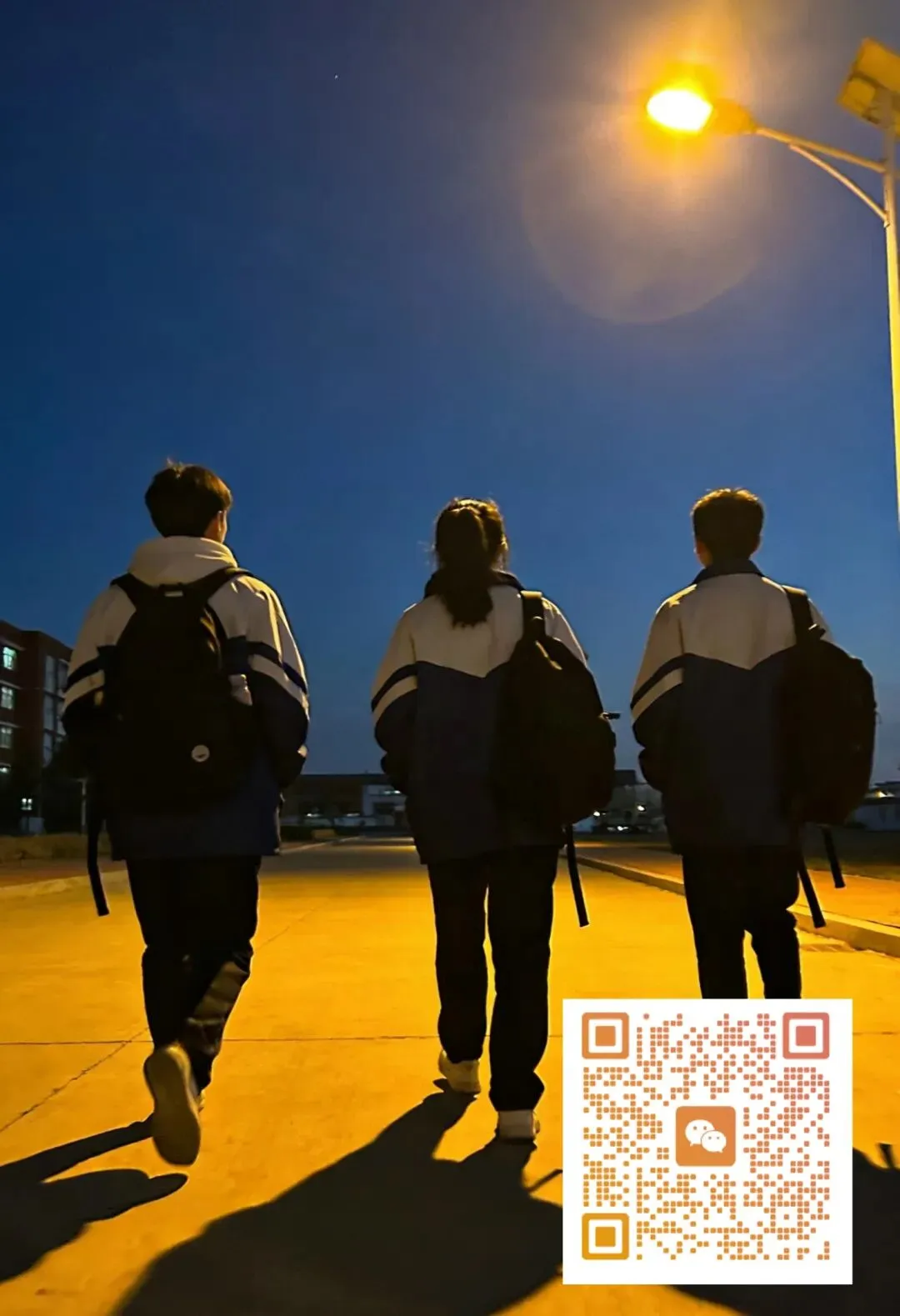 一分钟搞懂:中考指标生到底是什么?-第1张图片-四季读书网