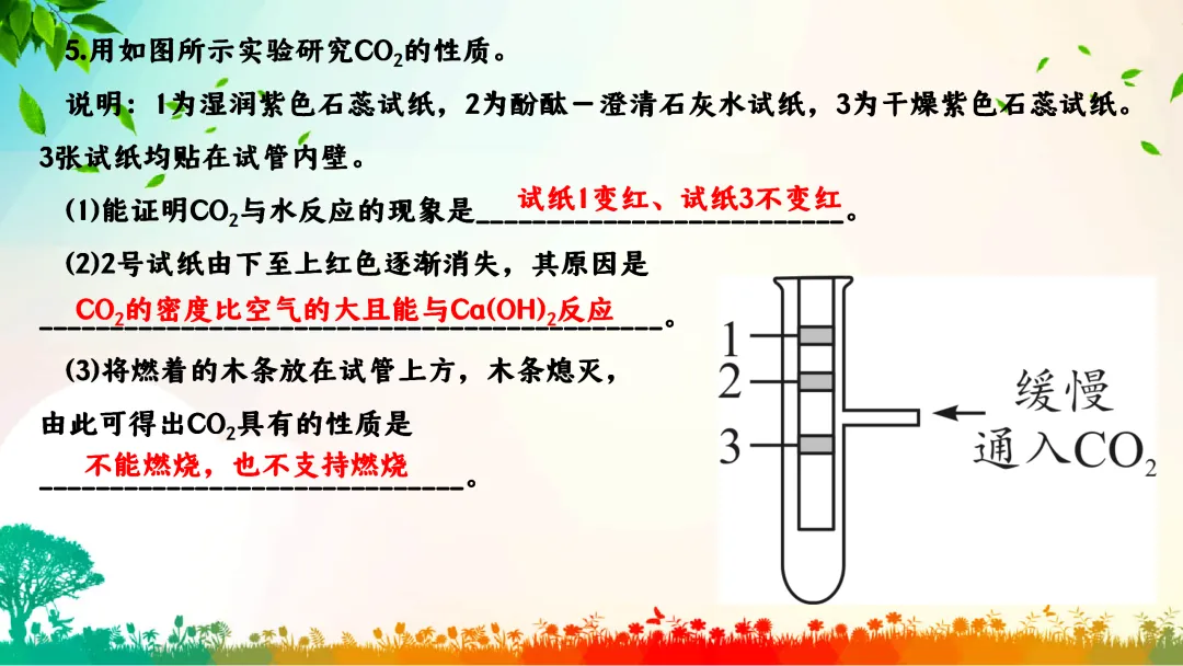 F792 一轮中考单元复习 决胜中考2026 优质课资源包 初中化学《专题复习---碳和碳的化合物》课件PPT+教学设计Word-第27张图片-四季读书网