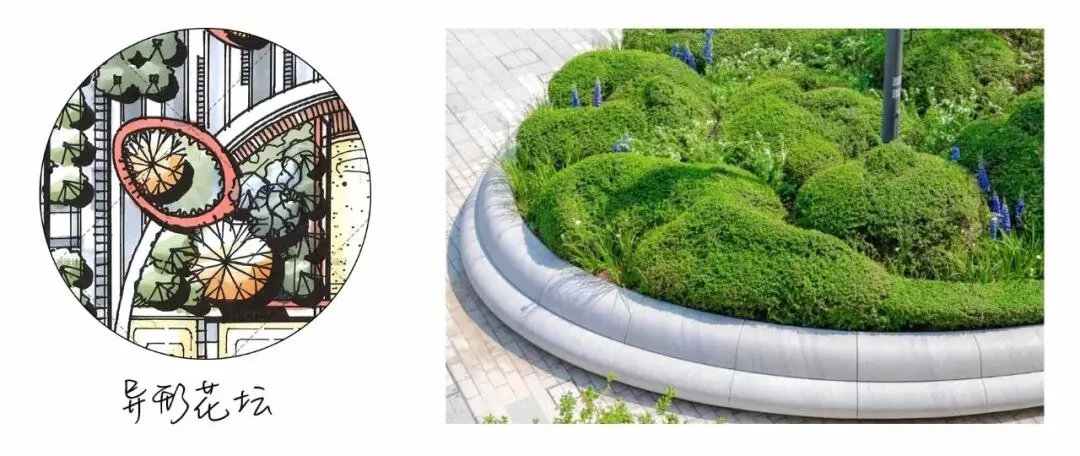 真题解析 | 东北林业大学2026年风景园林初试真题解析-第4张图片-四季读书网