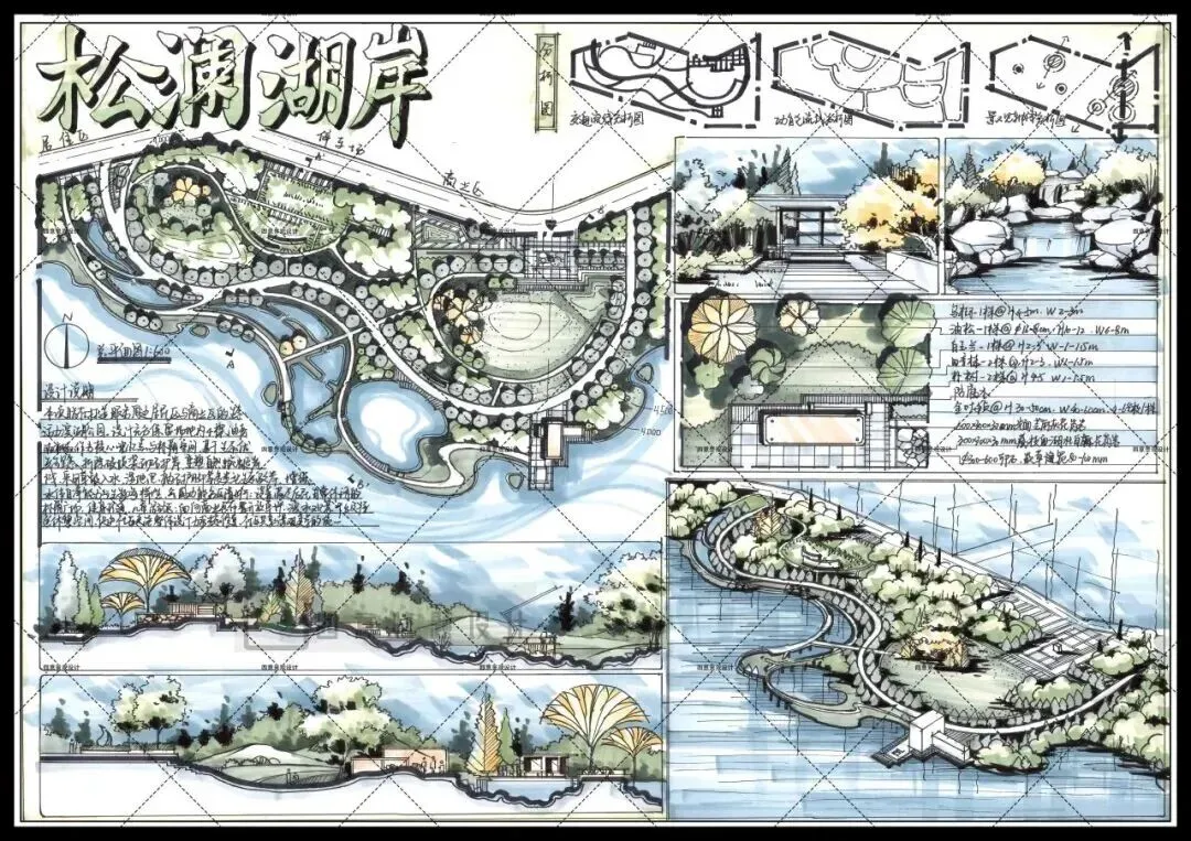 真题解析 | 东北林业大学2026年风景园林初试真题解析-第36张图片-四季读书网