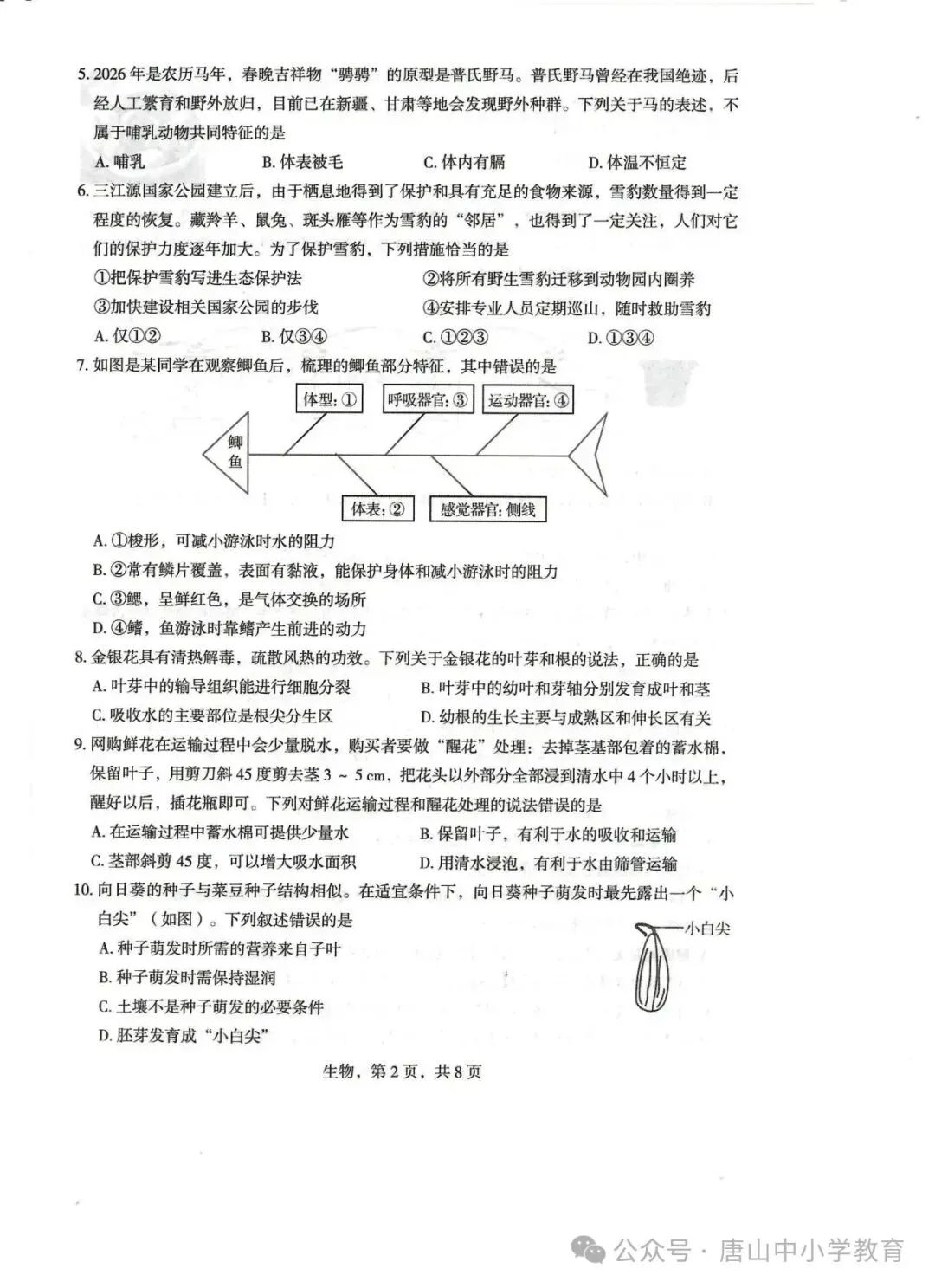 2026.4石家庄市正定中考一模全科试卷含答案(可下载) 第53张